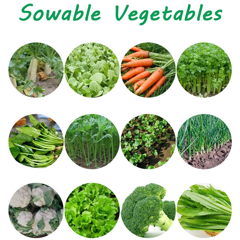 Sembradora de jardín, sembradora de jardín de precisión de Metal, sembradora de 5 hileras simultáneas, cultivador de jardín y rotavator, sembradora de Cultivos en hileras, esparcidor Manual de césped