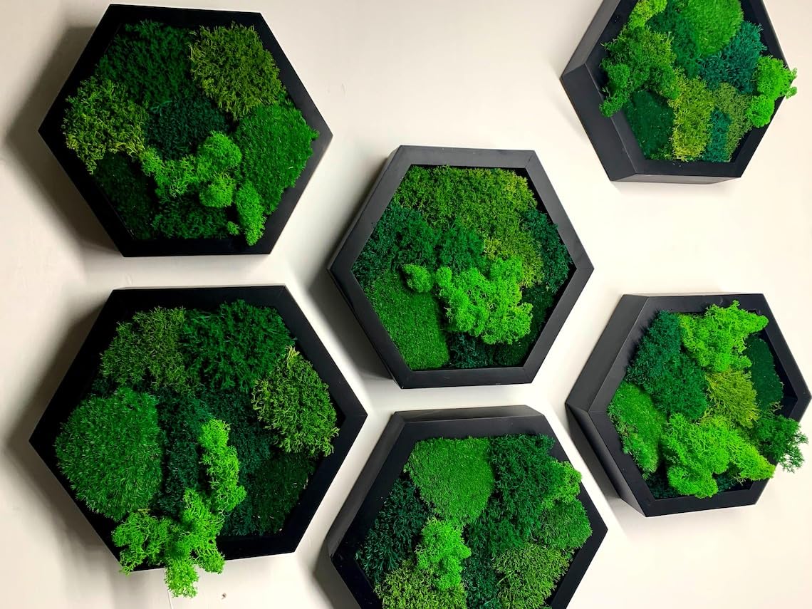 Moss Hexagons