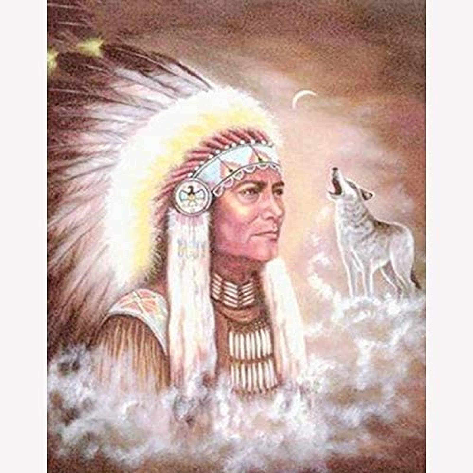 WYWQN Diamond Painting Kits for Adults American Native Indian Man Wolf DIY 5D Diamond Art for Beginner for Wall Decoration 30x40CM