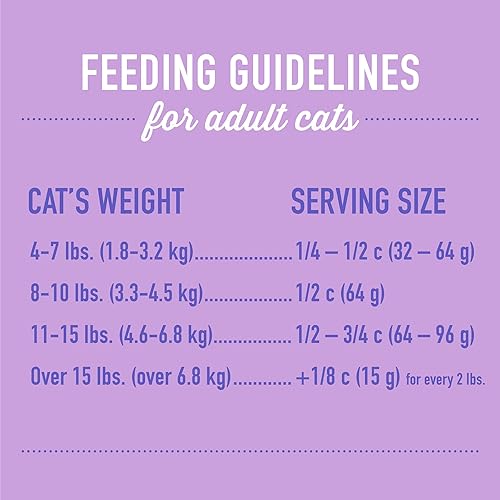 Miniatura 6 de Tiki Cat Born Carnivore Peso óptimo, Turquía, croquetas horneadas bajas en calorías sin granos para maximizar los nutrientes, comida seca para