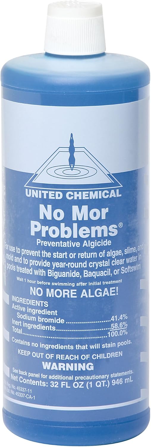 No Mor Problems Pool Algaecide 2 qts.