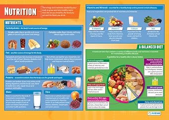 Daydream Education Nutrition PSHE Classroom Poster - EXTRA LARGE 33 x 23.5" - Gloss Paper - PSE Middle & High School Class Decoration - Wall Charts