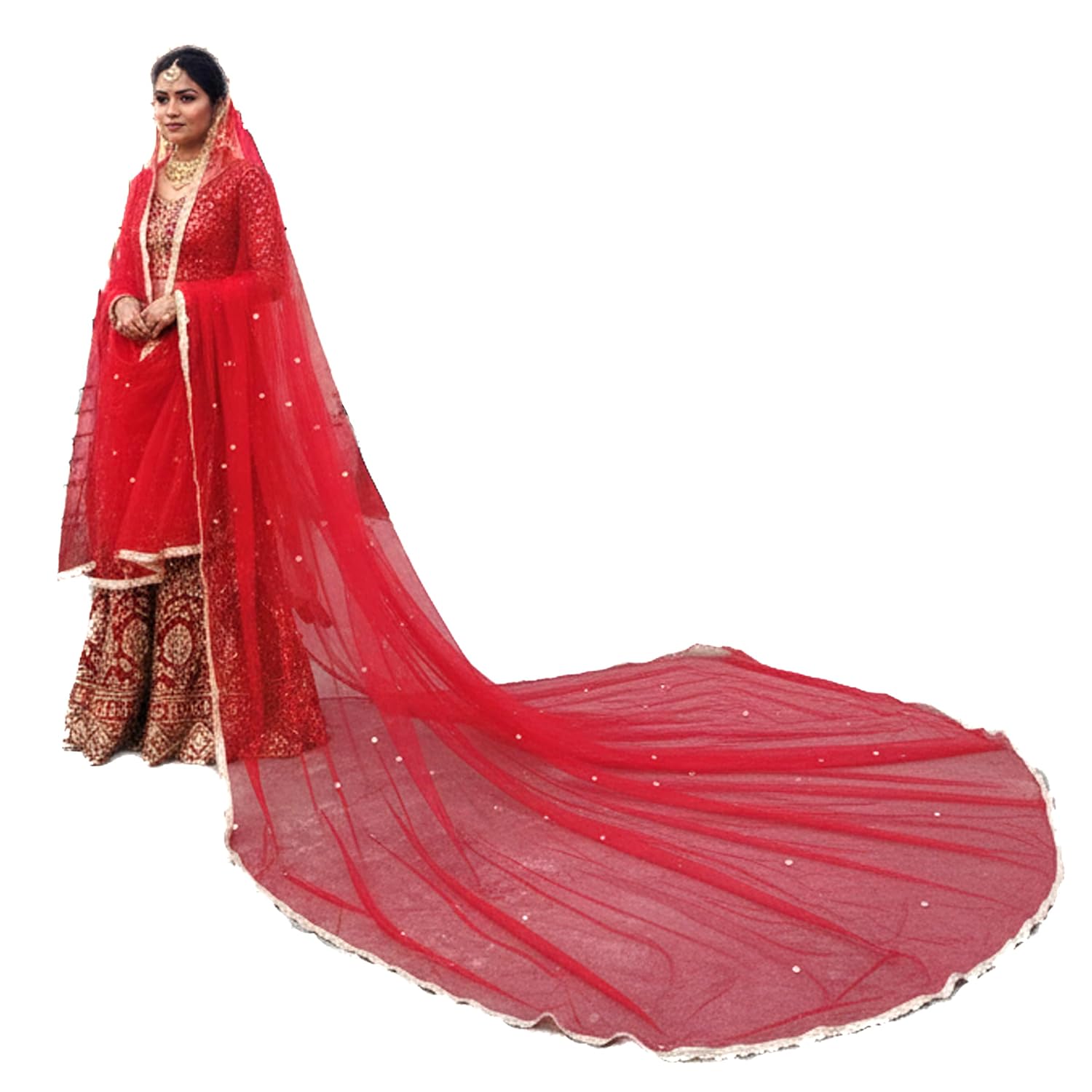 BR Bridal Mega Extra Long Trail Dupatta, Red Net with Golden Lace Border, Embellishments (4 Metre) Length - Review, Price and Buying Guide