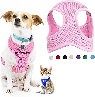 Personalized Dog Harness Cat Harness for Small Medium Dogs No Pull, Soft Cat Puppy Mesh Vest Harness Step in with Reflective Stripes Embroider Pet Names Phone Number