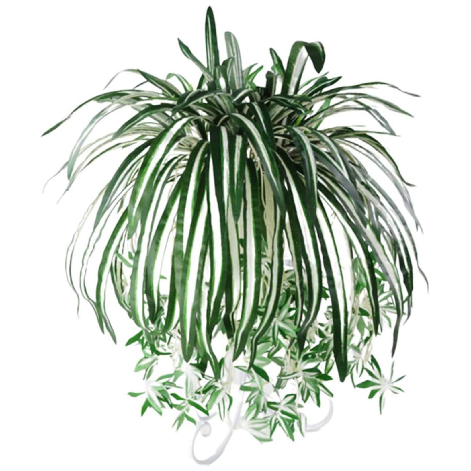 Wedhapy Spider Plant Artificial Greenery 24.4 In Silk Realistic Artificial Spider Plant with Stem Indoor Outdoor Low-Maintain Decor Green Greenery