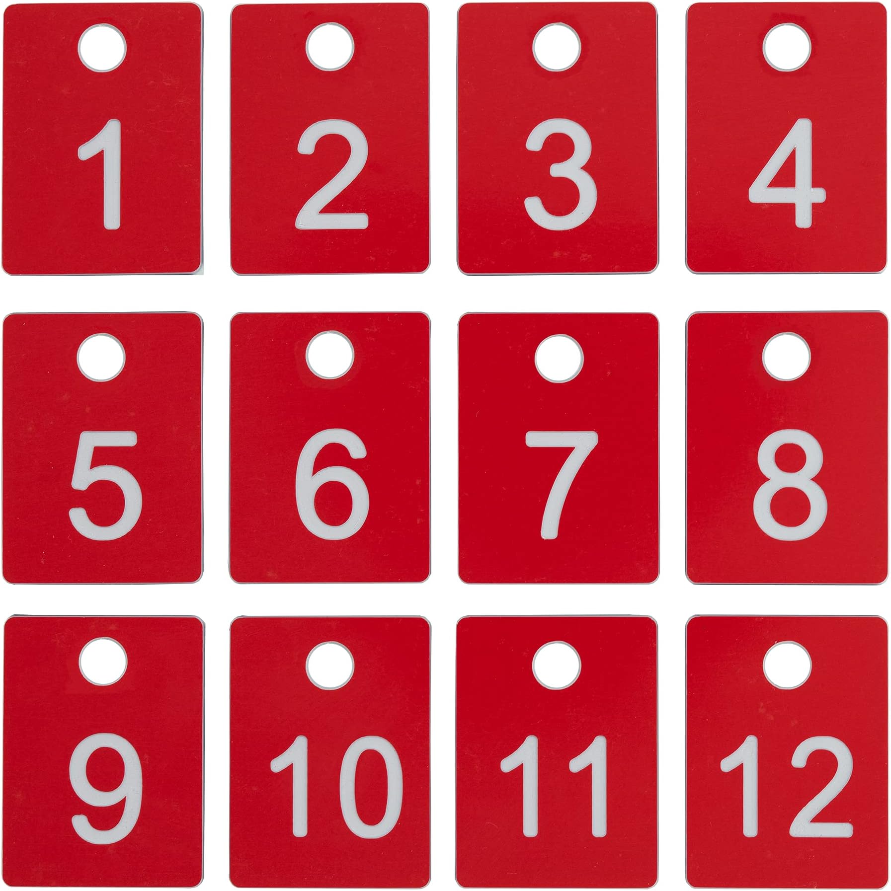 StayMax ABS Plastic Numbered Tags Rectangle Key Tags ID Tags Number Disc with Hole (1-100, Red)