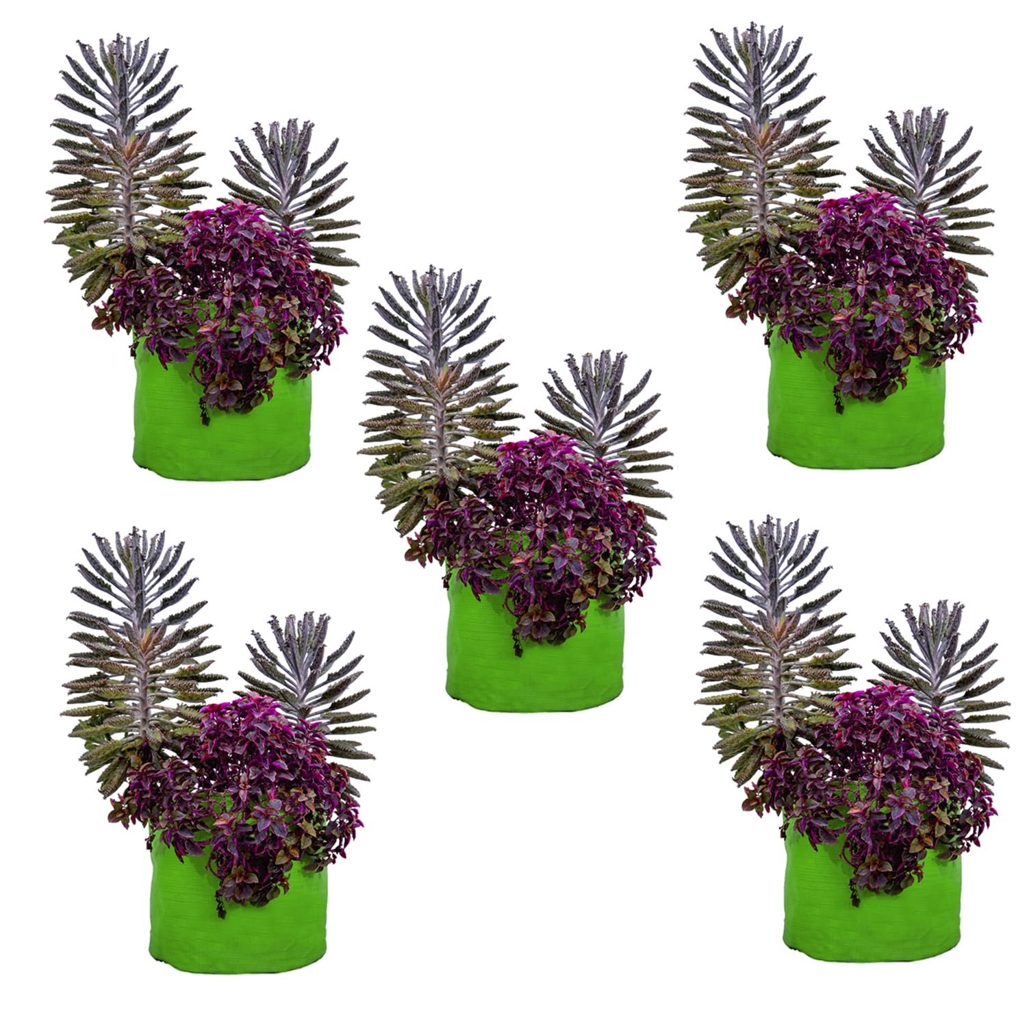 AZHAL AGRO - HDPE Grow Bags for Gardening | Plants Grow Bags Suitable for Home, Balcony, Terrace, Kitchen & Nursery (Green, Round Shaped, 200GSM 9x9 inch, Pack of 3) (B0CHJW7Z31) Amazon Price History, Amazon Price Tracker