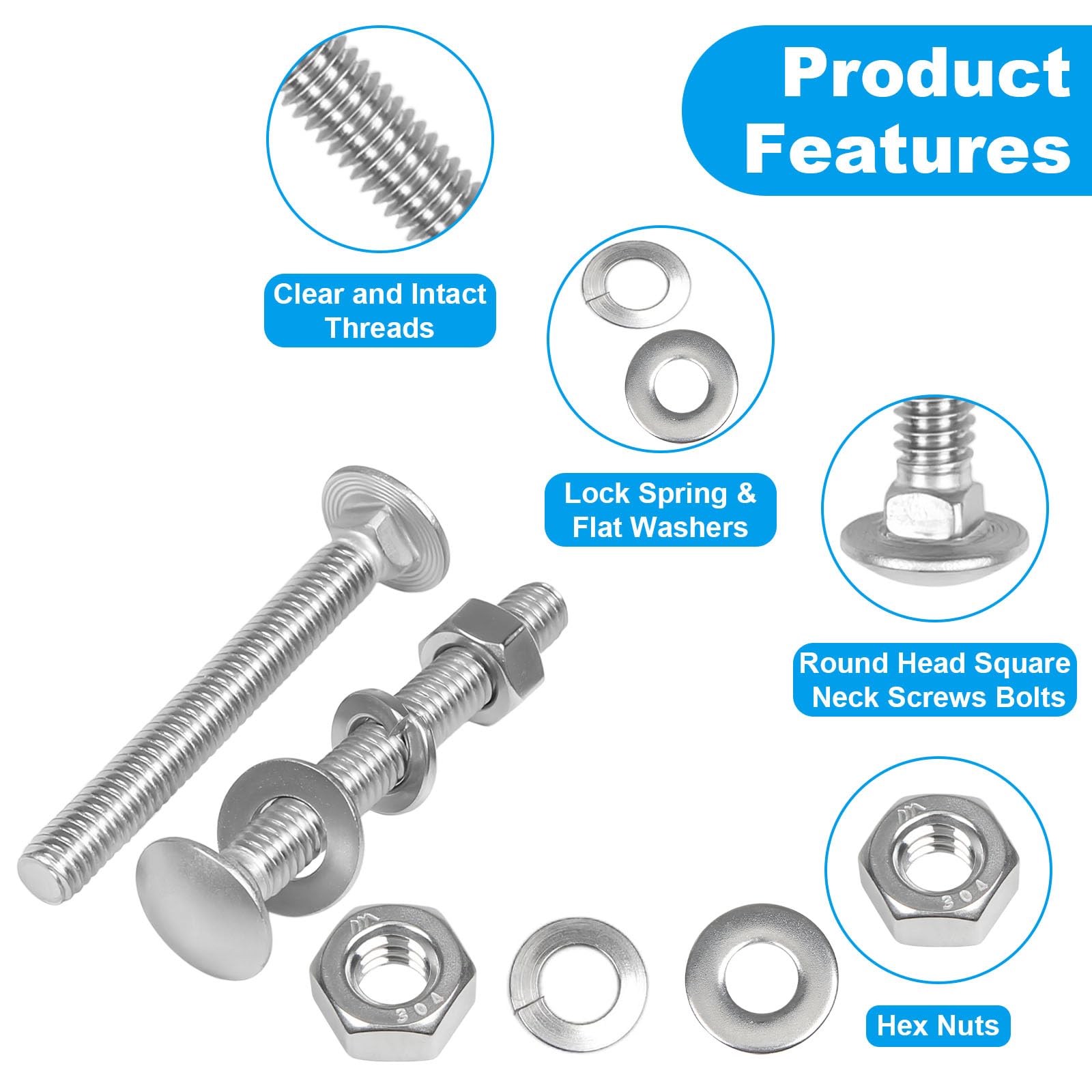 Stainless Steel Carriage Bolts - 10 Sets -3