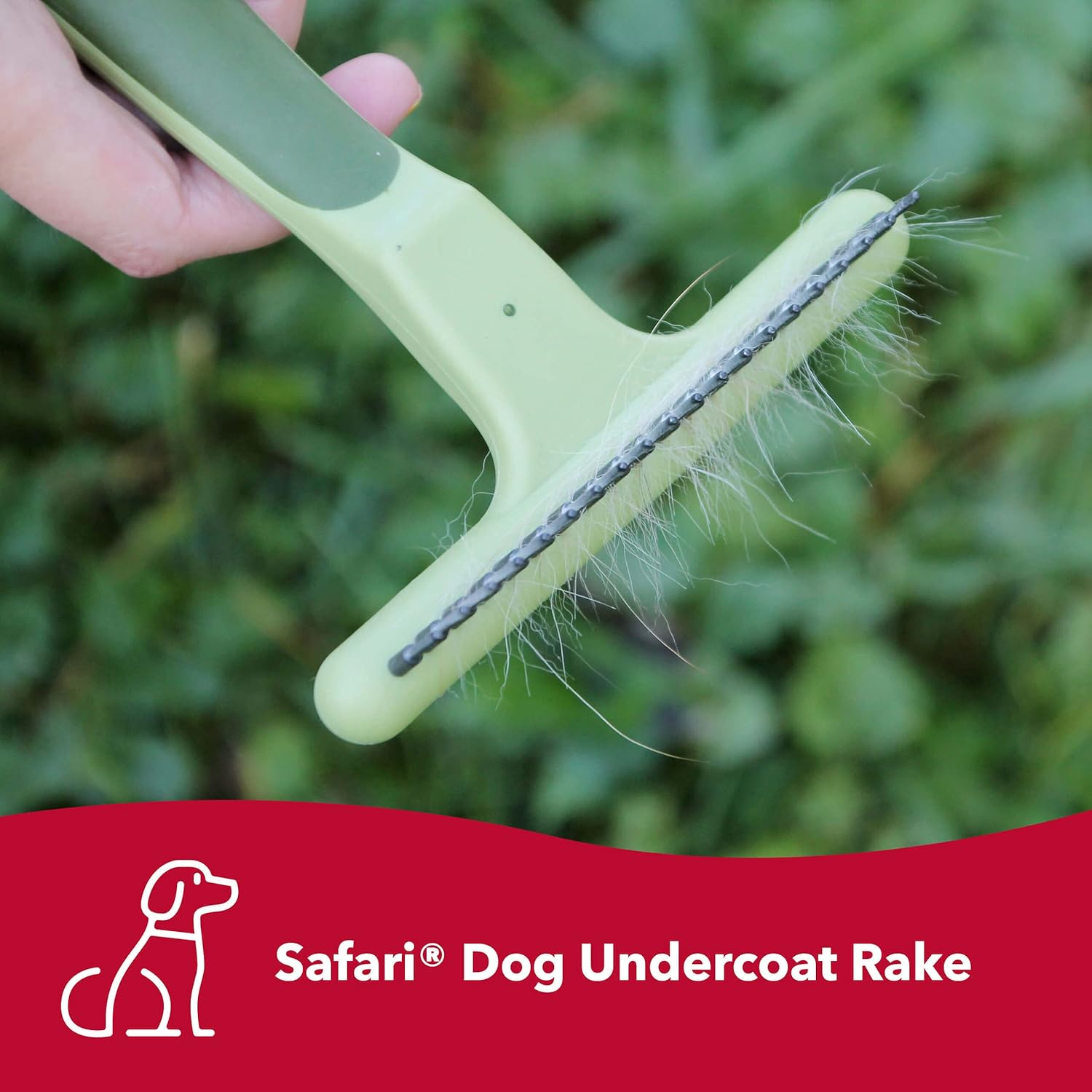Safari by Coastal Single or Double Row Undercoat Rake for Prevention of Mats in Dogs of All Coat Types : Pet Supplies
