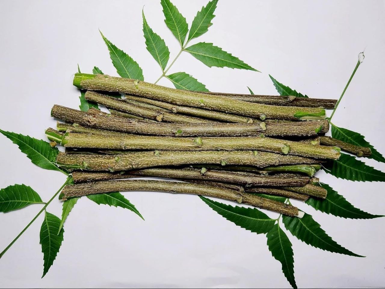 Neem Healthy Stick Natural Dental Cleaning Twig for Daily Teeth Care, Neem Toothbrush Stick 7 Inch (20 Healthy Stick)-image-44