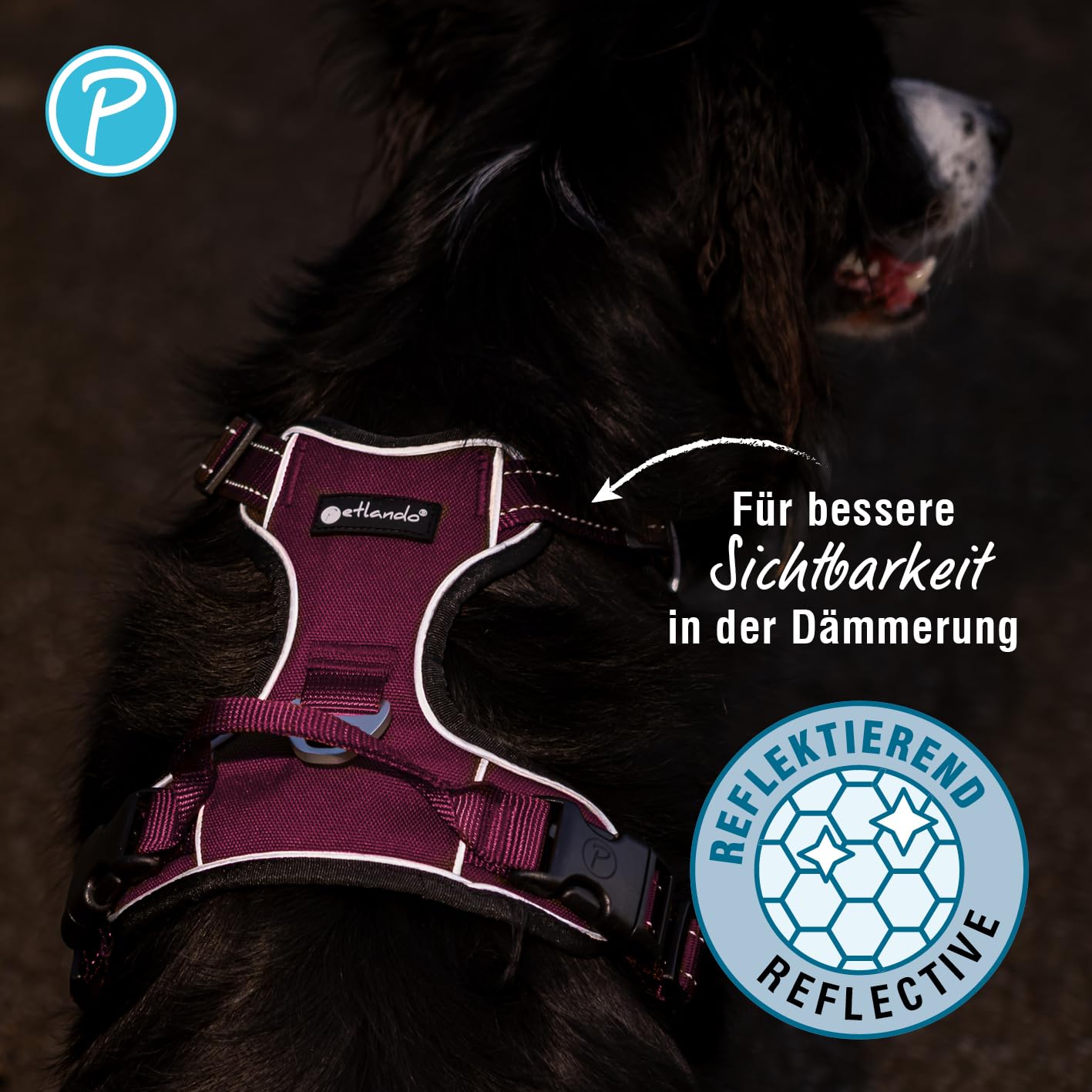 Petlando Hundegeschirr Outdoor – stark reflektierend, gepolstert, atmungsaktiv, robust, stufenlos verstellbar, Zwei D-Ringe – Berry, S (Halsumfang 36-48cm, Brustumfang 46-56cm)