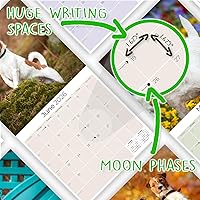 Vista 441 de Razas de Perros 2017