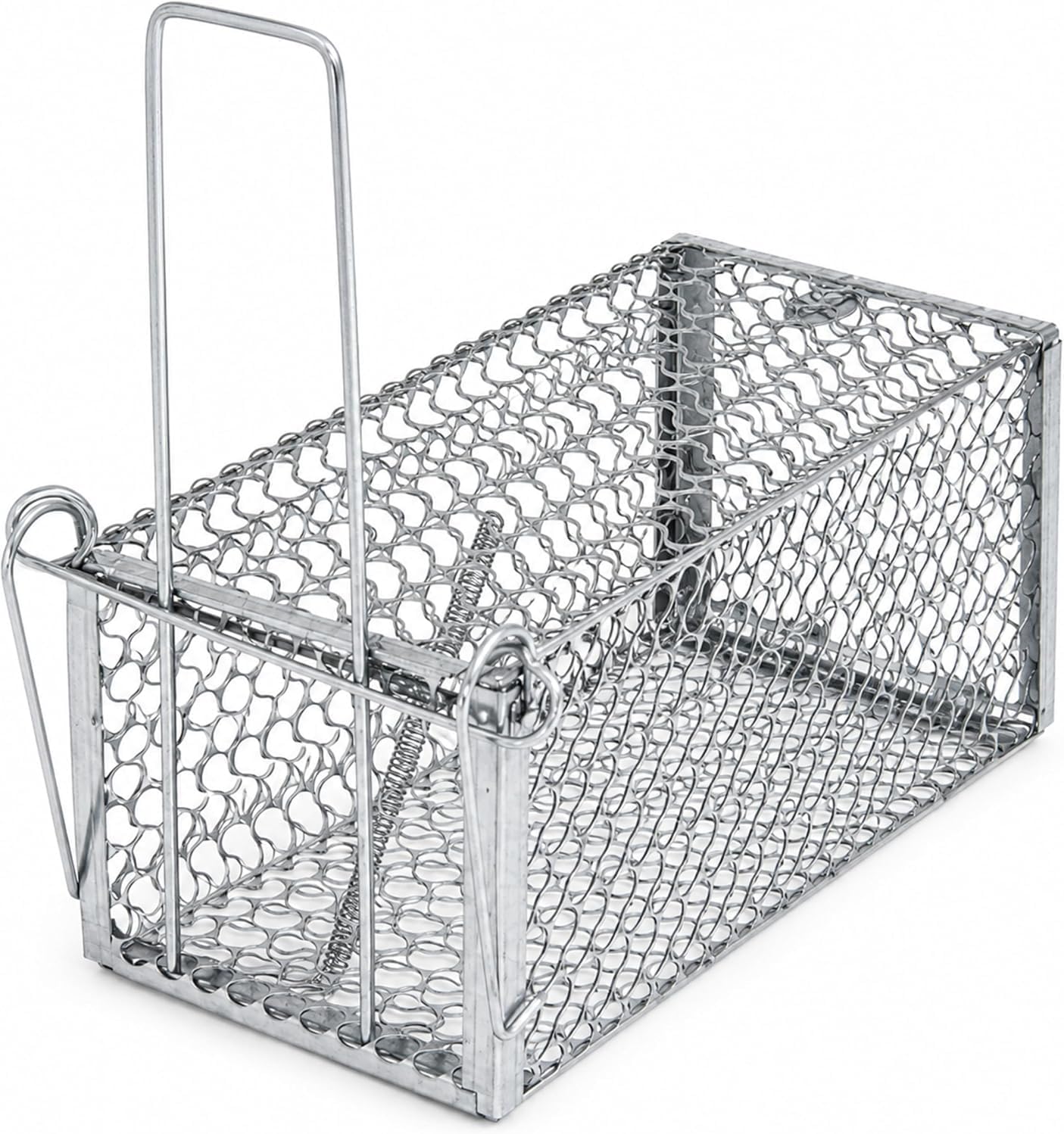 ECVV Humane Live Catch Rat Trap Cage, Reusable Thickened Steel Mouse Trap for Small Rodents, Indoor & Outdoor Use, 28 x 14 x 14 cm | Silver