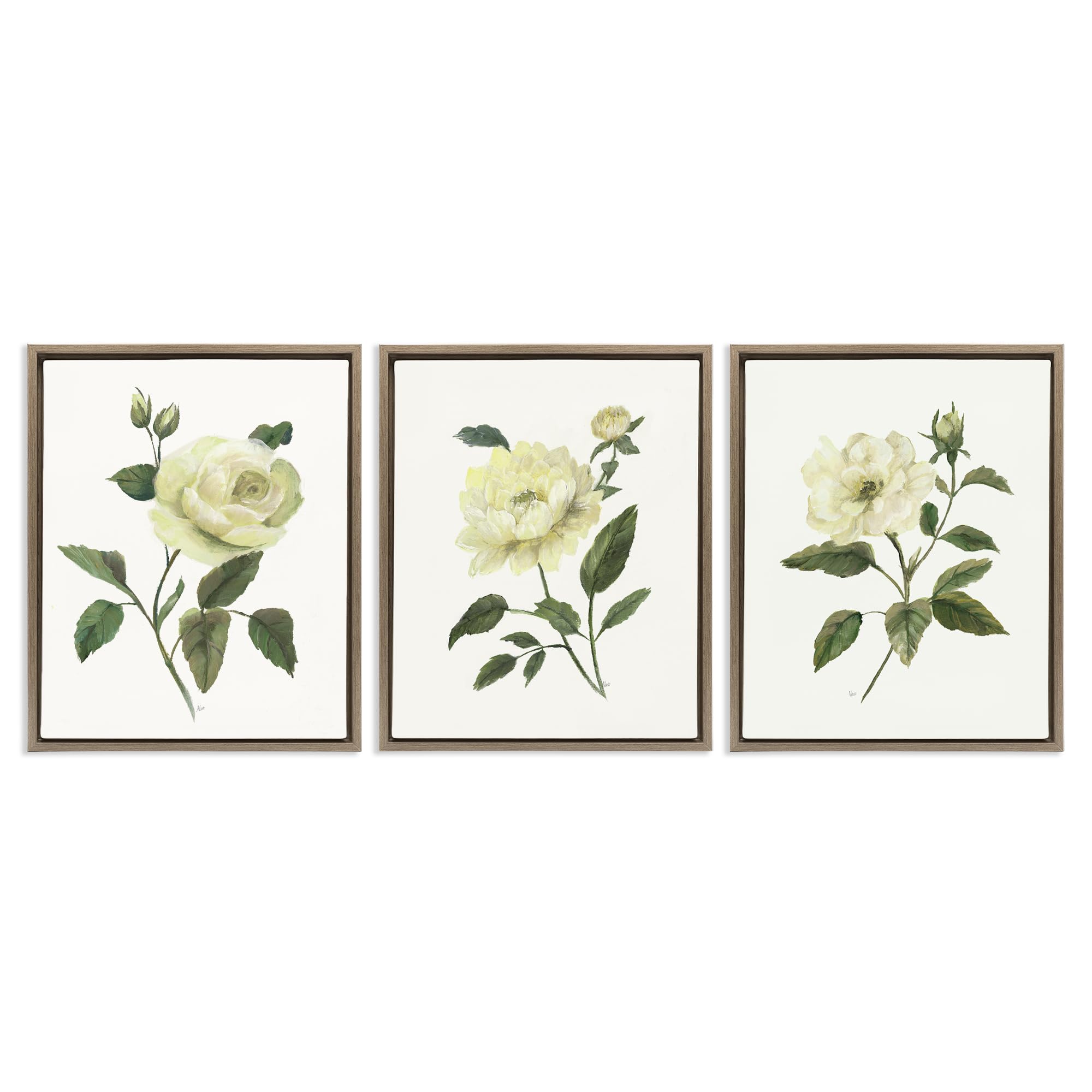 Stupell Industries 'Ivory Budding Garden Flowers', 3pc Floating Frame Art Set 3, Brown, 25 x 31 Inches, Easy to Hang and Sturdy, Made in USA, by Nan