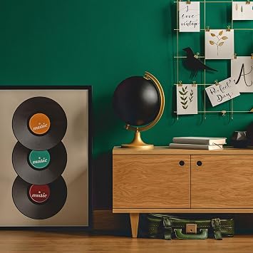PATIKIL Blank Vinyl Records, 12 Inch 2 Pack CD Fake Vinyl Records for Wall Aesthetic Decor, Decorative Records for Roll Music Room Rock Party DIY Decoration, Black