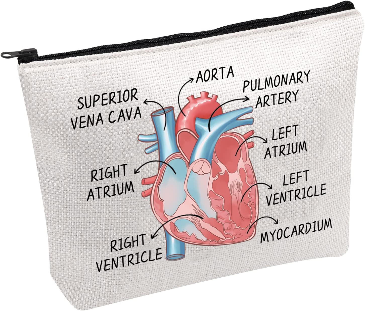 Anatomy Human Heart Cardiologists Doctor Anatomical Medical Cosmetic Bag Nursing Student Gift, Aorta Pulmonary Artery