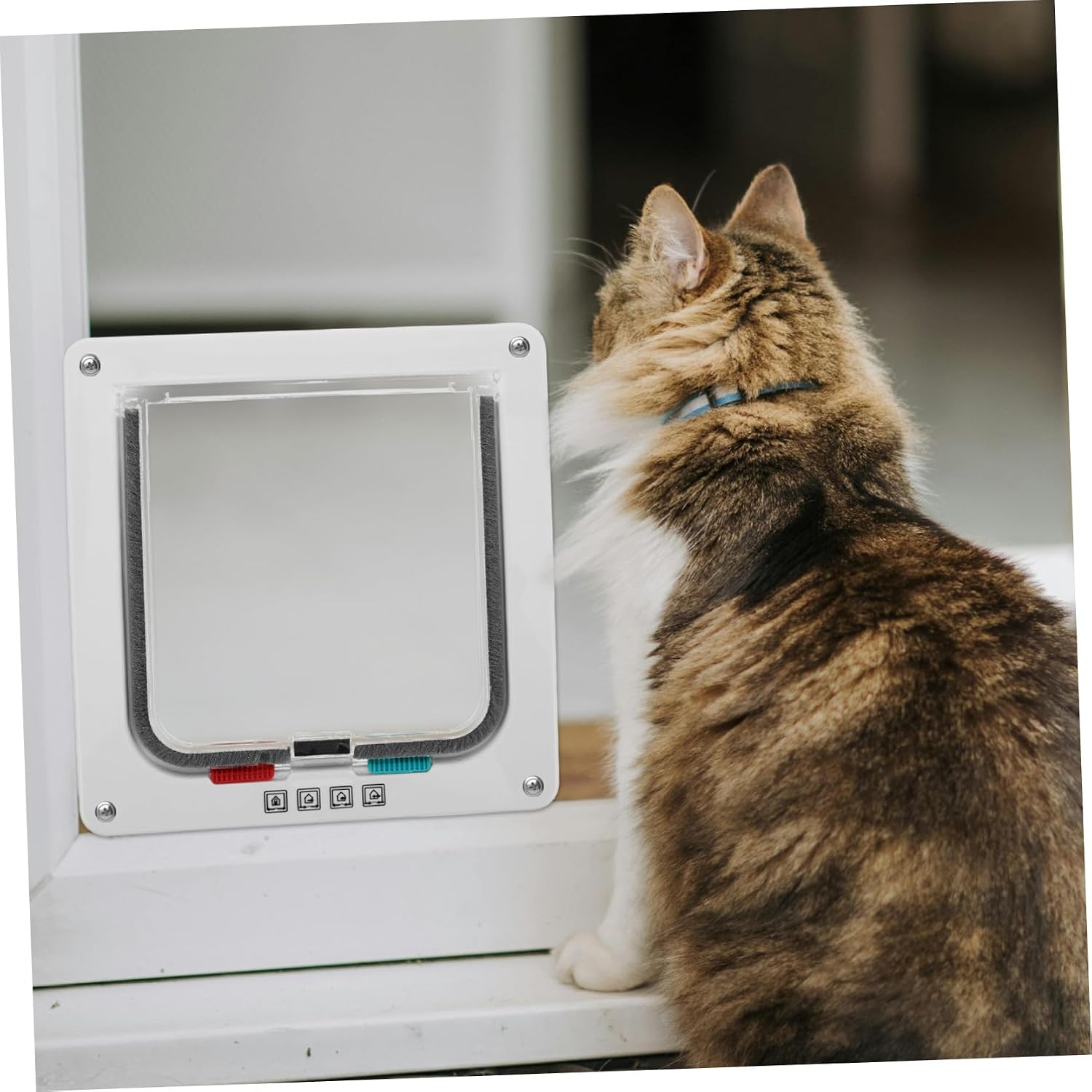 Locking Small Pet Door for Cats and Dogs Weatherproof Plastic Cat Door Flap with Frame 20x19x2cm