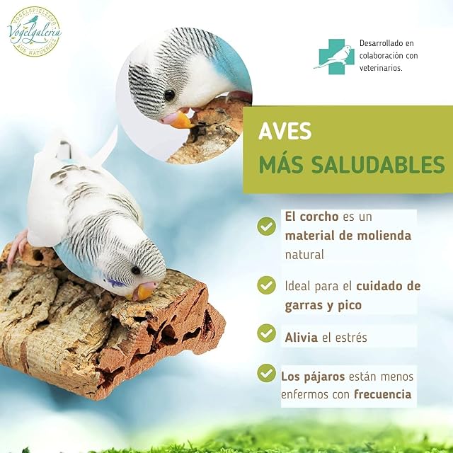 Foto 2 de 8 de Vogelgaleria® 2 Piedras de Corcho. La Deliciosa Alternativa a la Piedra caliza o Sepia