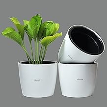 GREENON® Indoor 10 Inch Plant Pot Set of 3 (6 Pots) Self Water White Outer and Black Inner Plant Container Virgin Plastic Gamla Low Maintanance Pot Best for Indoor and Balcony