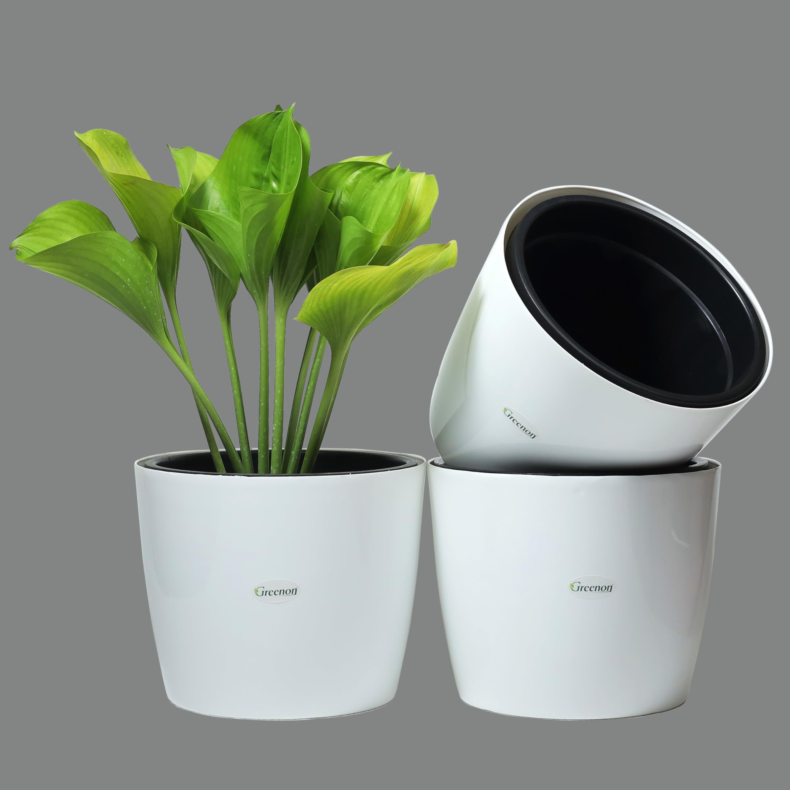 GREENON® 10 Inch Self Water Plant Pot Pack of 3 (6 Pots) | White Outer and Black Inner | UnFadable Flower Pot | Virgin Plastic Gamla | Suitable for Indoor and Balcony (B09XFH3JF5) Amazon Price History, Amazon Price Tracker