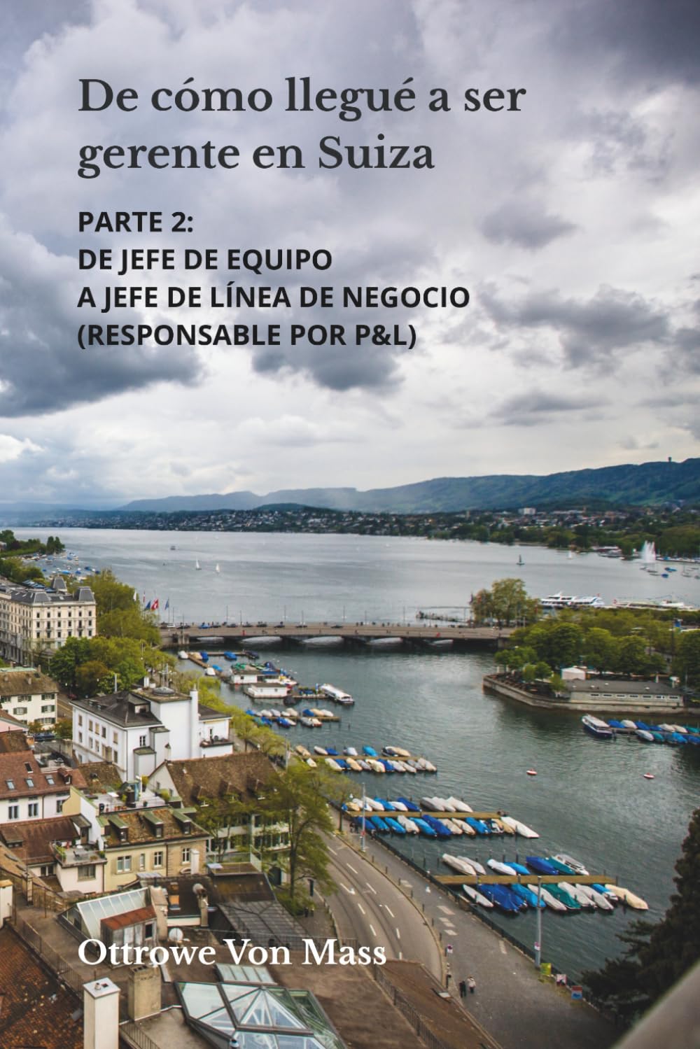 De cómo llegué a ser gerente en Suiza - Parte 2: De jefe de equipo a jefe de línea de negocio (Responsable por P&L)