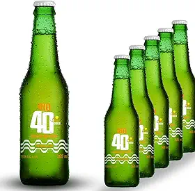 Cerveja Puro Malte Rio 40 Graus 355ml Kit 6 unidades