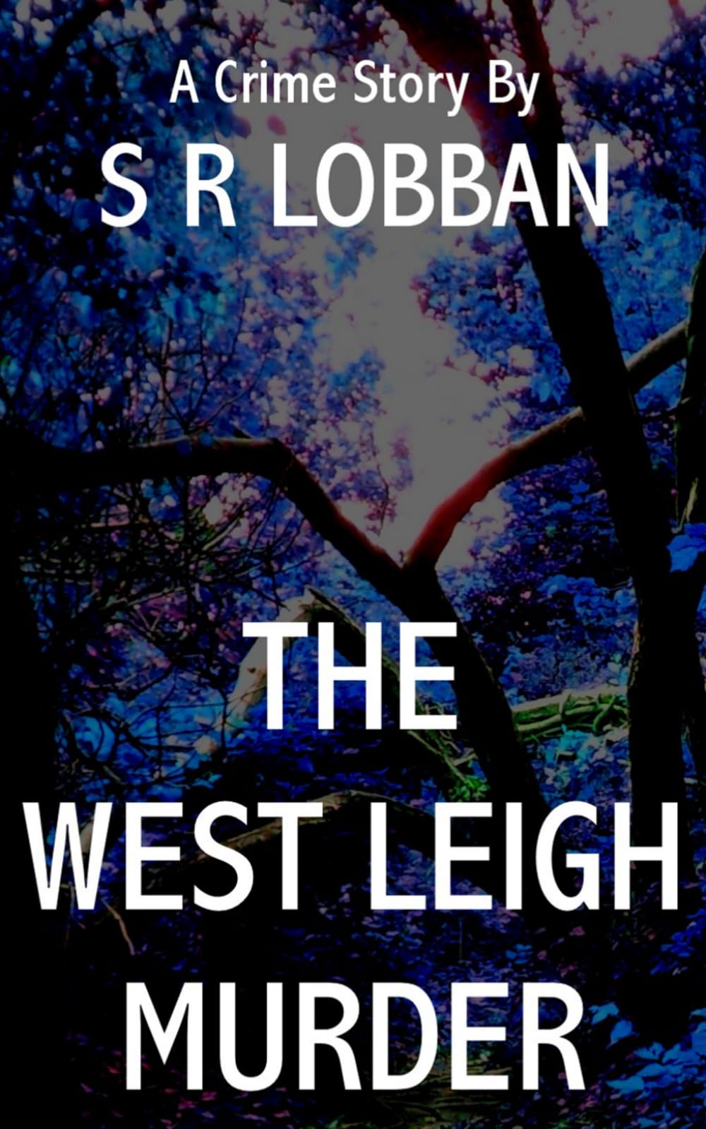 The West Leigh Murder (DI Finney Investigates)