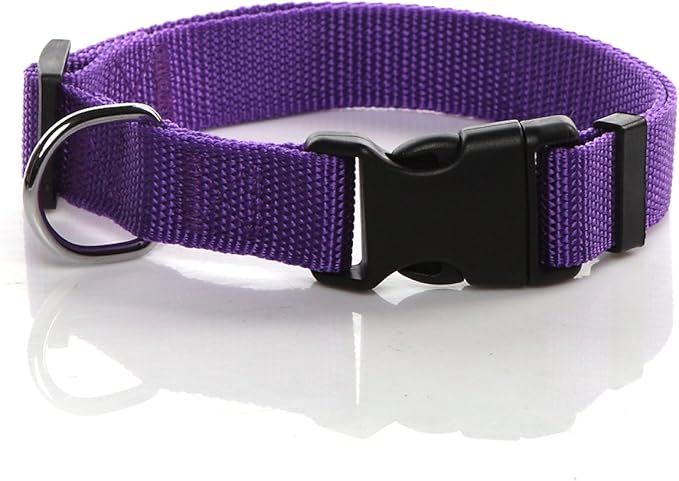 Collar de Nylon Ajustable para Perros Medianos y Grandes, 1 Pulgada miniatura 2