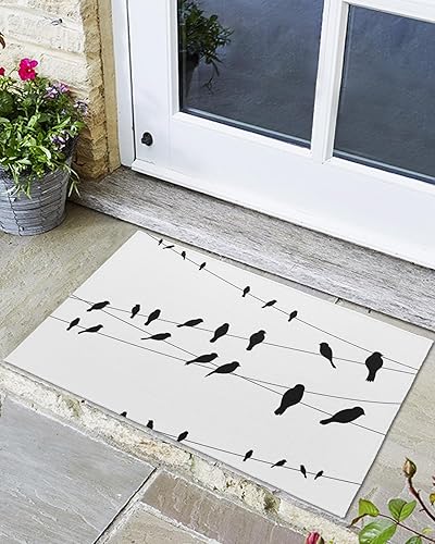 Miniatura 1 de Tapete para puerta delantera, antideslizante, absorbente, para puerta de entrada, para interiores y exteriores, alfombras pequeñas, diseño de