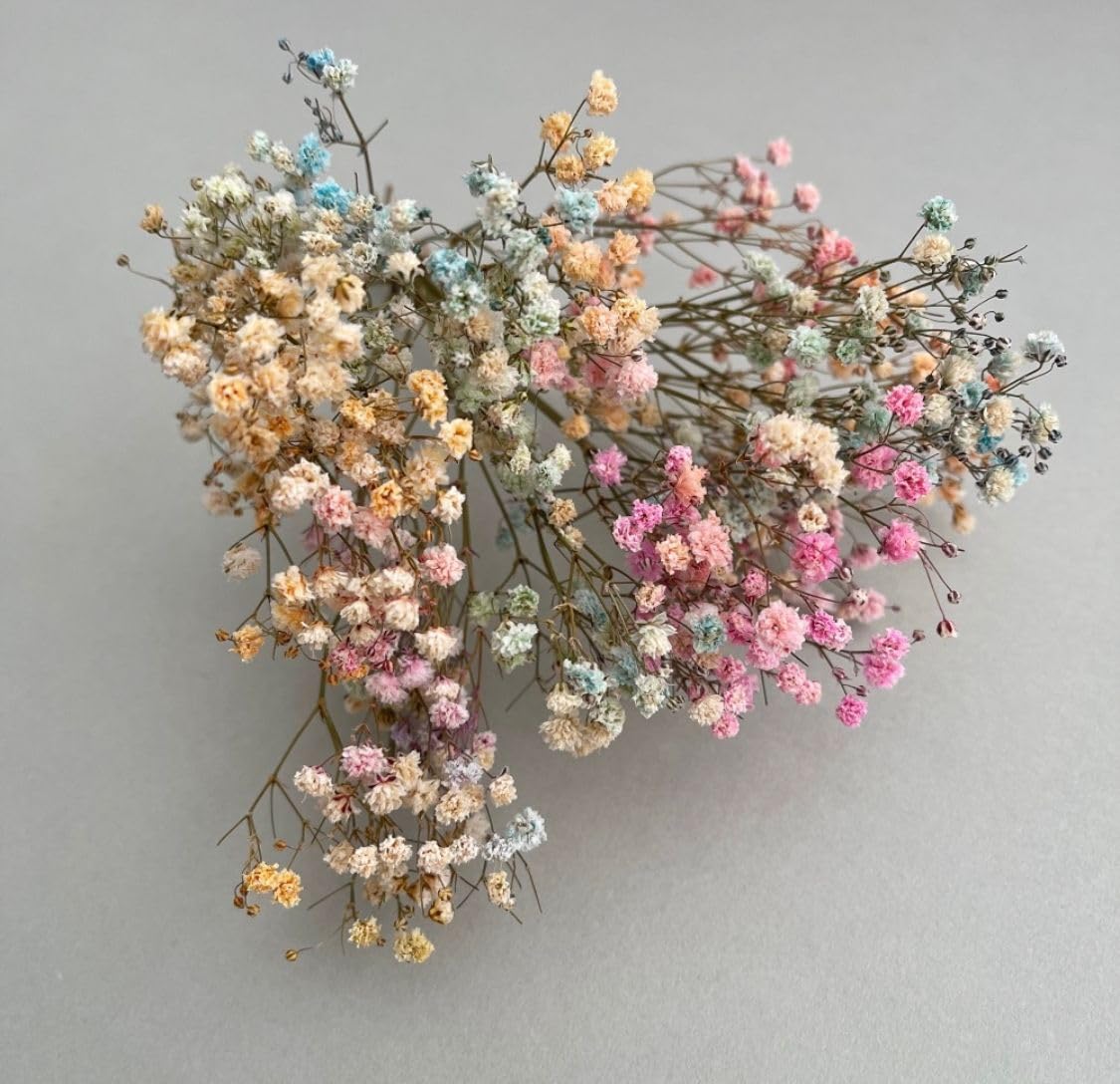 NATURAL Assorted Natural Dried Baby Breaths Grass Cake Topper,Pink Natural 100% Natural Product | Naturally Dried (B0CGB458MV) Amazon Price History, Amazon Price Tracker