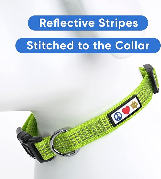 Pawtitas Reflective Dog Collar with Stitching Reflective Thread | Reflective Dog Collar with Buckle Adjustable and Better Training Great Collar for Small Dogs - Green Collar - 3