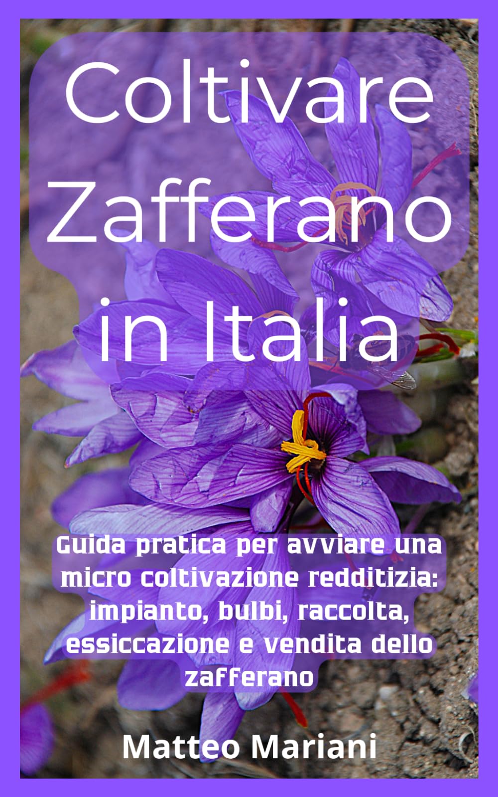 Coltivare Zafferano in Italia: Guida pratica per avviare una micro coltivazione redditizia: impianto, bulbi, raccolta, essiccazione e vendita dello zafferano