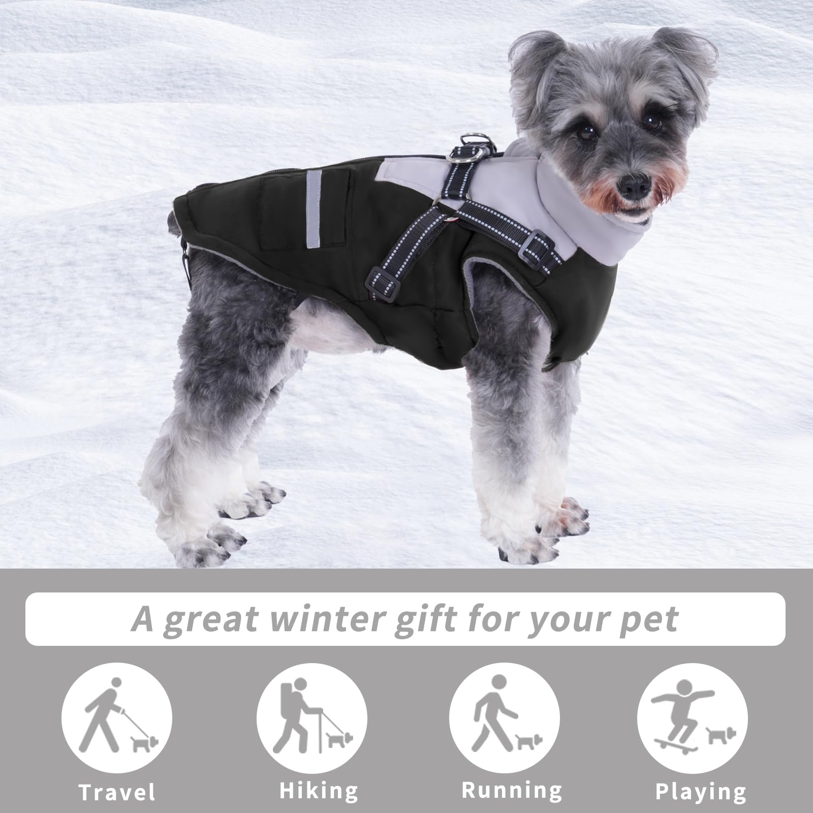 Cappottino Cane: Cappottini per Cani Piccola taglia Impermeabile Giubbotto - Cappotto Cane con Pettorina Adatto Invernale