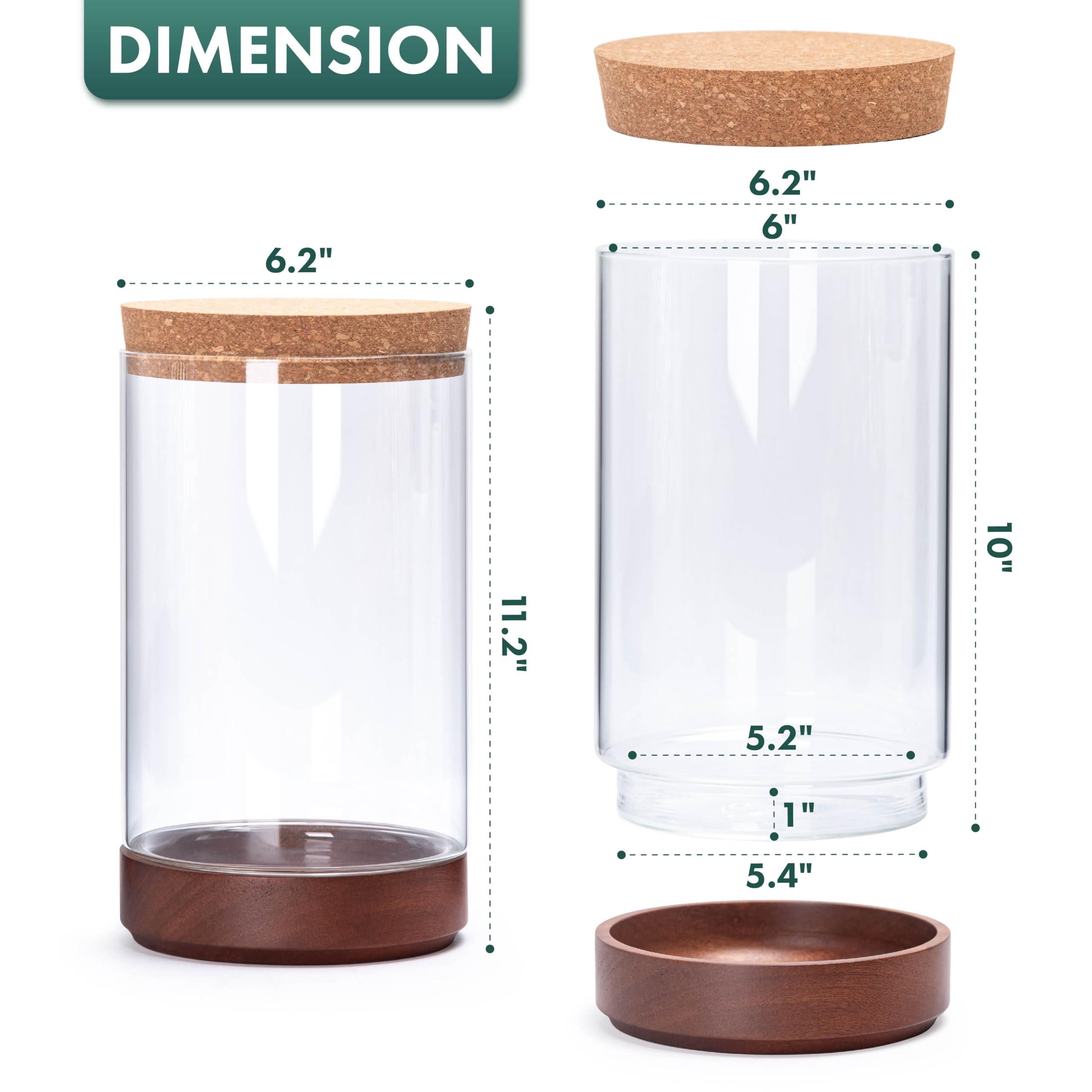 Maceta de terrario de cristal transparente para plantas de interior, 6 pulgadas de ancho x 10 pulgadas de alto, terrario cilíndrico con base de madera y tapa de corcho, decoración de mesa versátil
