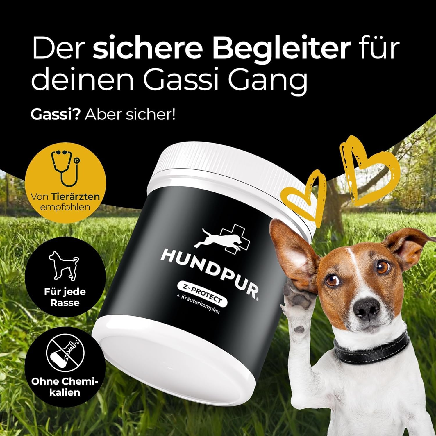 Z-Protect 300 g - Pellets für Hunde - Sorgenfreie Abenteuer in der Natur - Mit Schwarzkümmelöl & Zistrose - Natürliche Formel - Made in Germany