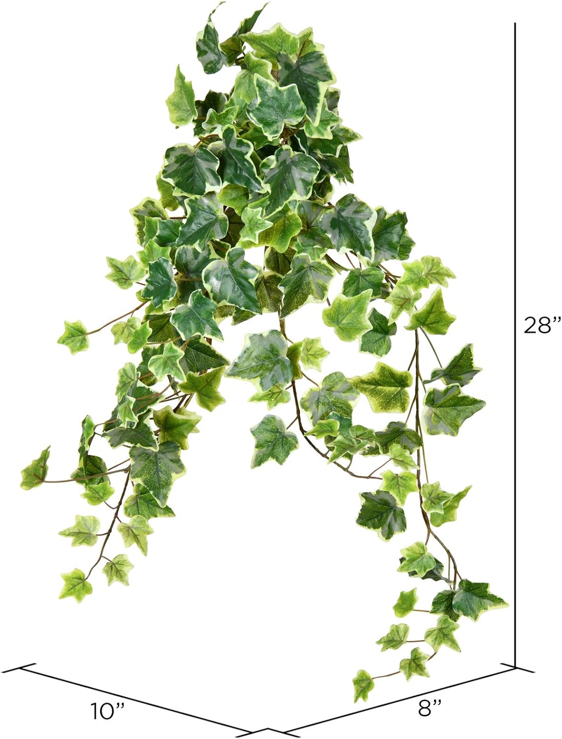 Vickerman Everyday 28" Artificial Varigated Ivy Hanging Bush 2 Pack - Faux Indoor Hanging Plant Bush - Greenery for Home Or Office Decor - Maintenance Free
