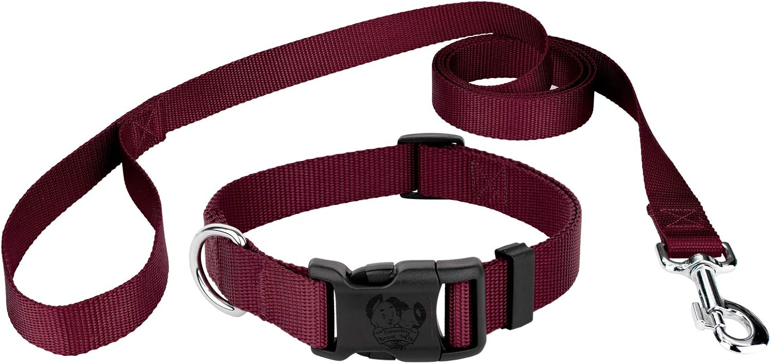 Country Brook Petz - Everyday Nylon Dog Collar and Leash - 10+ Warm Colors (3/8 Inch, Extra Small, Burgundy)