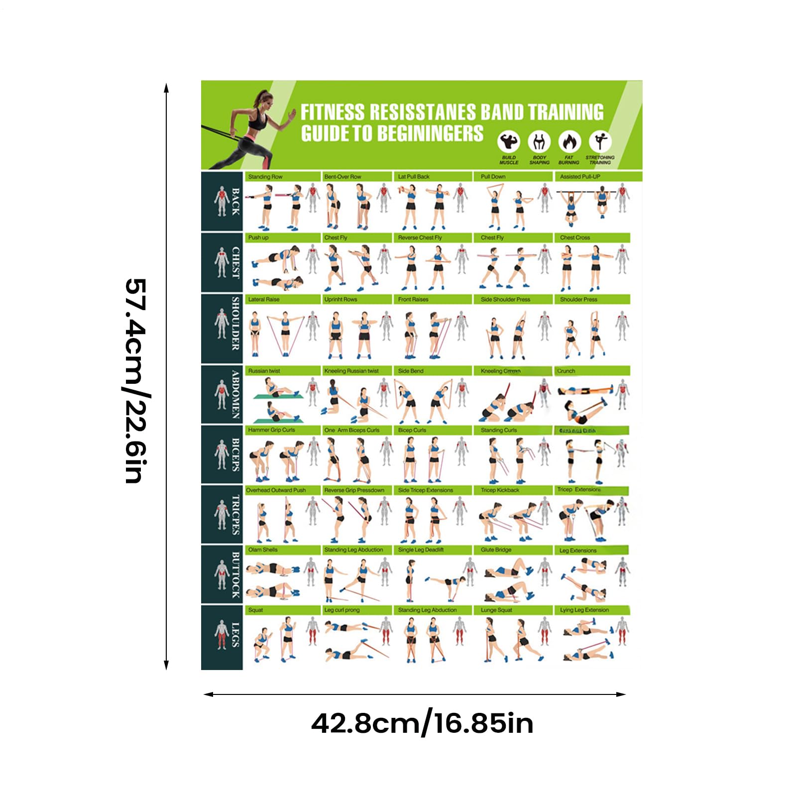 Tabella di Esercizi - Fitness con Fasce Elastiche | Poster Di Allenamento Con Bande Elastiche Decor Da Parete,per Stretching Yoga Uomini Casa Ufficio