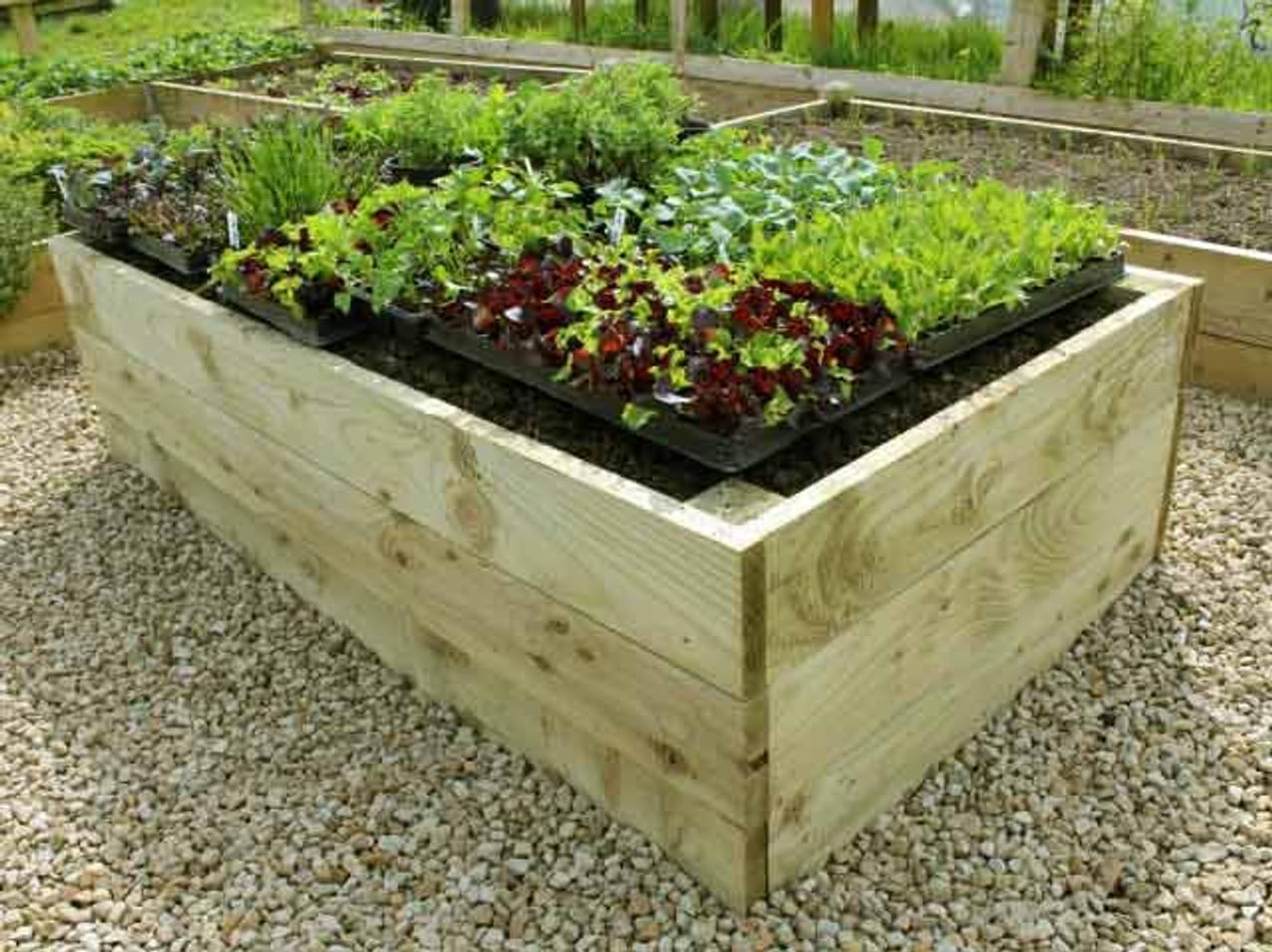 Quickcrop Premier Raised Garden Bed - 53cm High (90cm x 90cm)