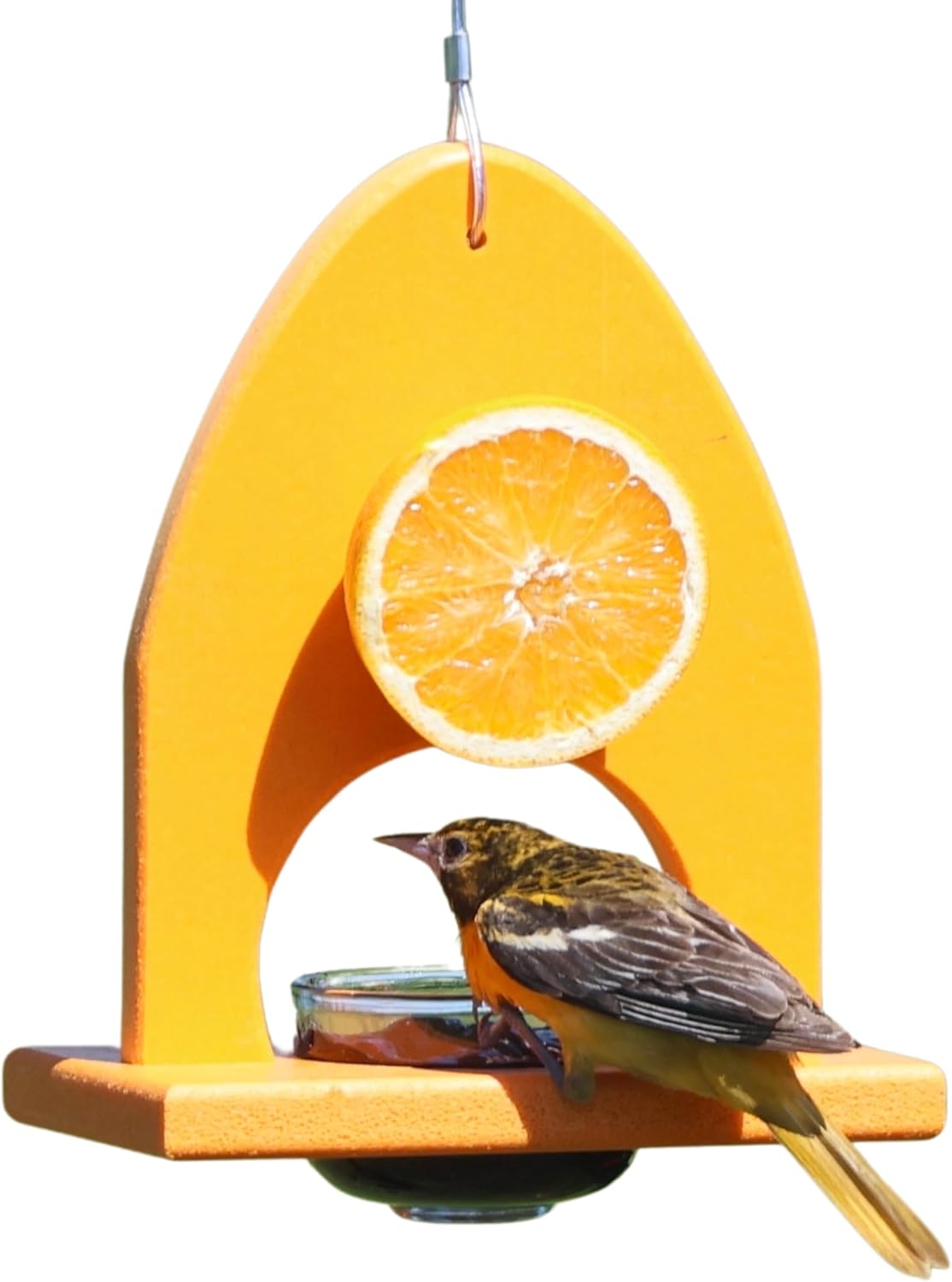 Backyard Essentials Petite Oriole Feeder, Recycled Poly