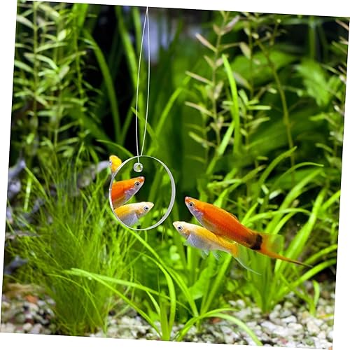 Miniatura 9 de TEHAUX 1 juego de espejo de entrenamiento Betta flotante decoración de pecera de doble cara Espejo de ejercicio Betta para acuario y resistente al