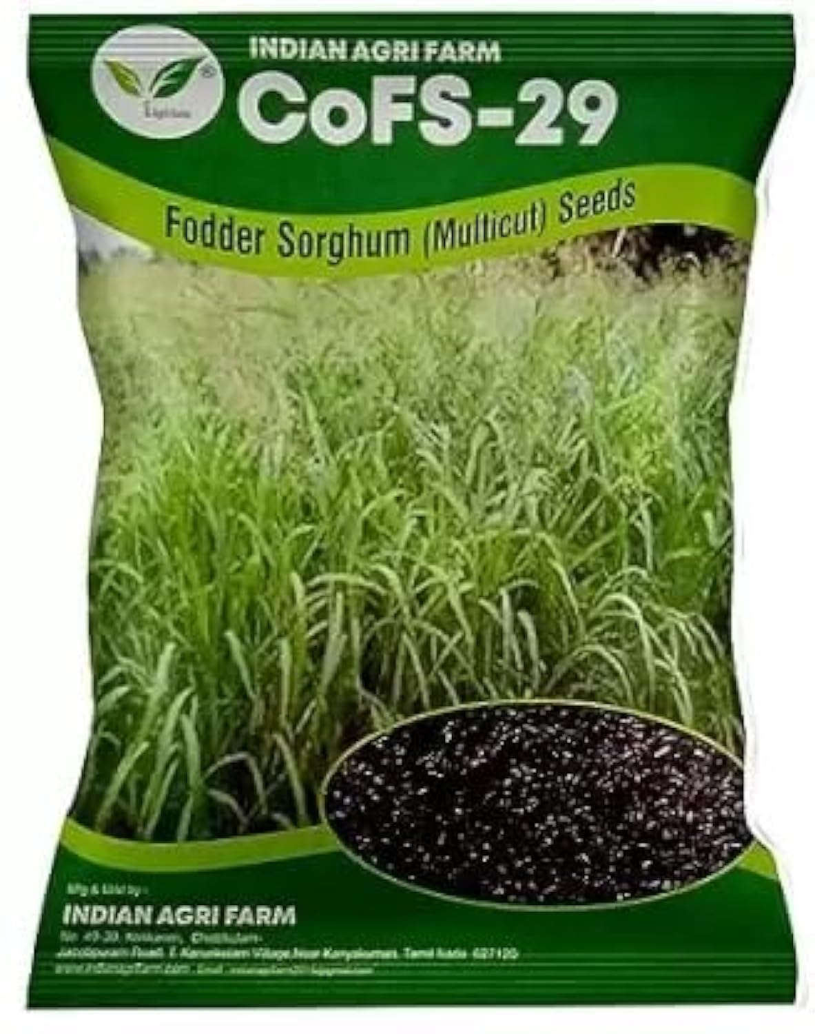 Iagrifarm CoFs 29 Fodder Sorghum Seed - 500 gram - MultiCut for Fodder Cultivation (B08DG4DPL2) Amazon Price History, Amazon Price Tracker