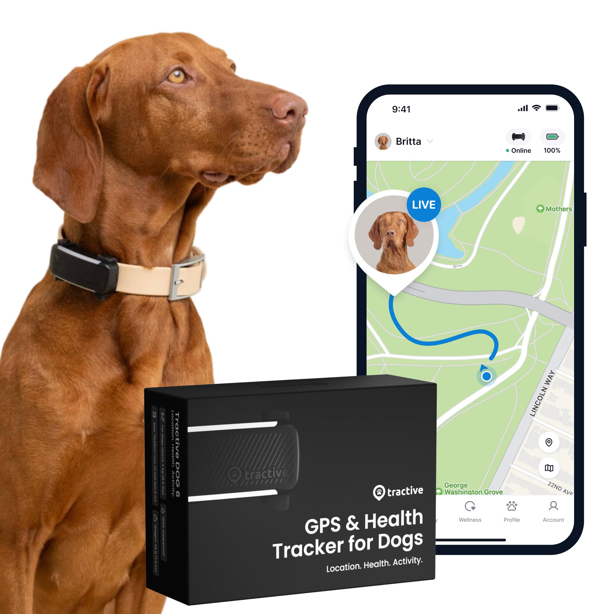 Tractive GPS Tracker Hund