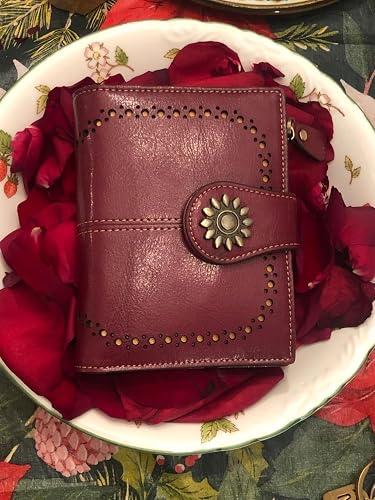 Review Image by Amazon Customer
