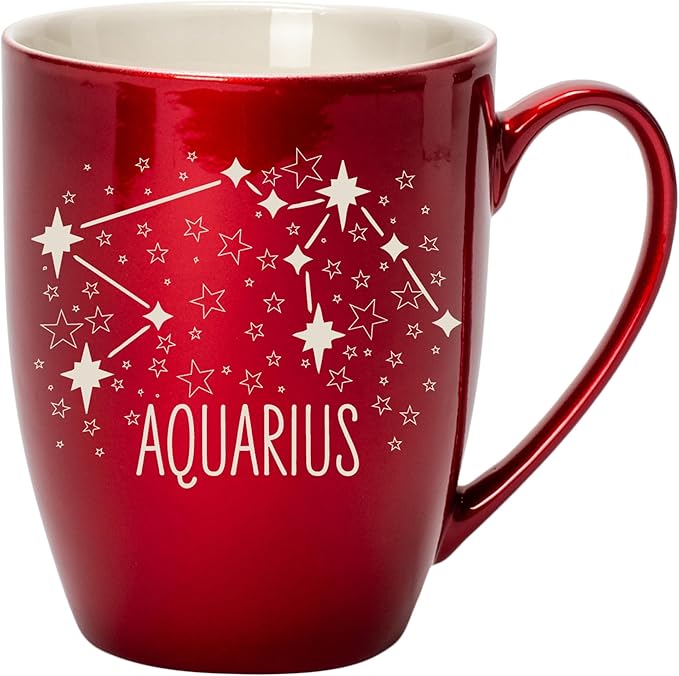 Zodiac 10 Ounce Cardinal Red Metallic Finish, Comfortably Fits Your Hands, New Bone China Coffee Tea Cup Mug, Aquarius