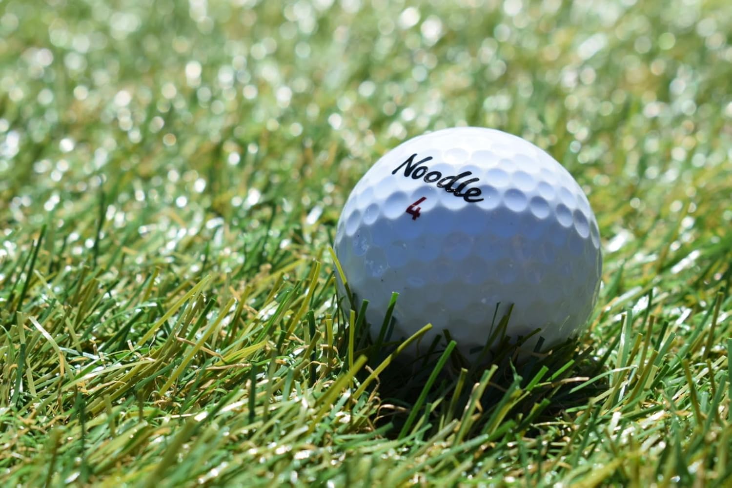 Noodle Mint Recycled Golf Balls (36 Pack)