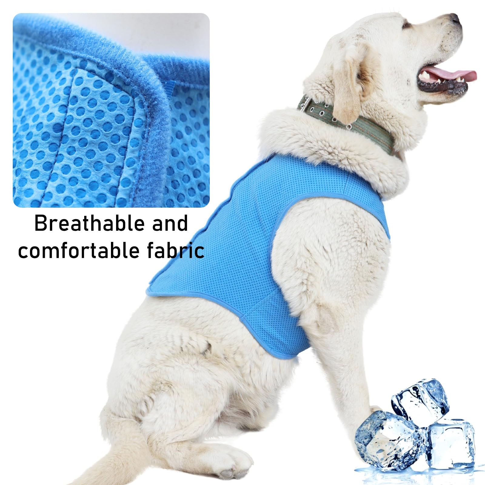 TYXHXTF Gilet di raffreddamento per Cani, Cappotto Rinfrescante Animali Domestici, Proteggere dal Caldo per Cani di Taglia Media Piccola (M)