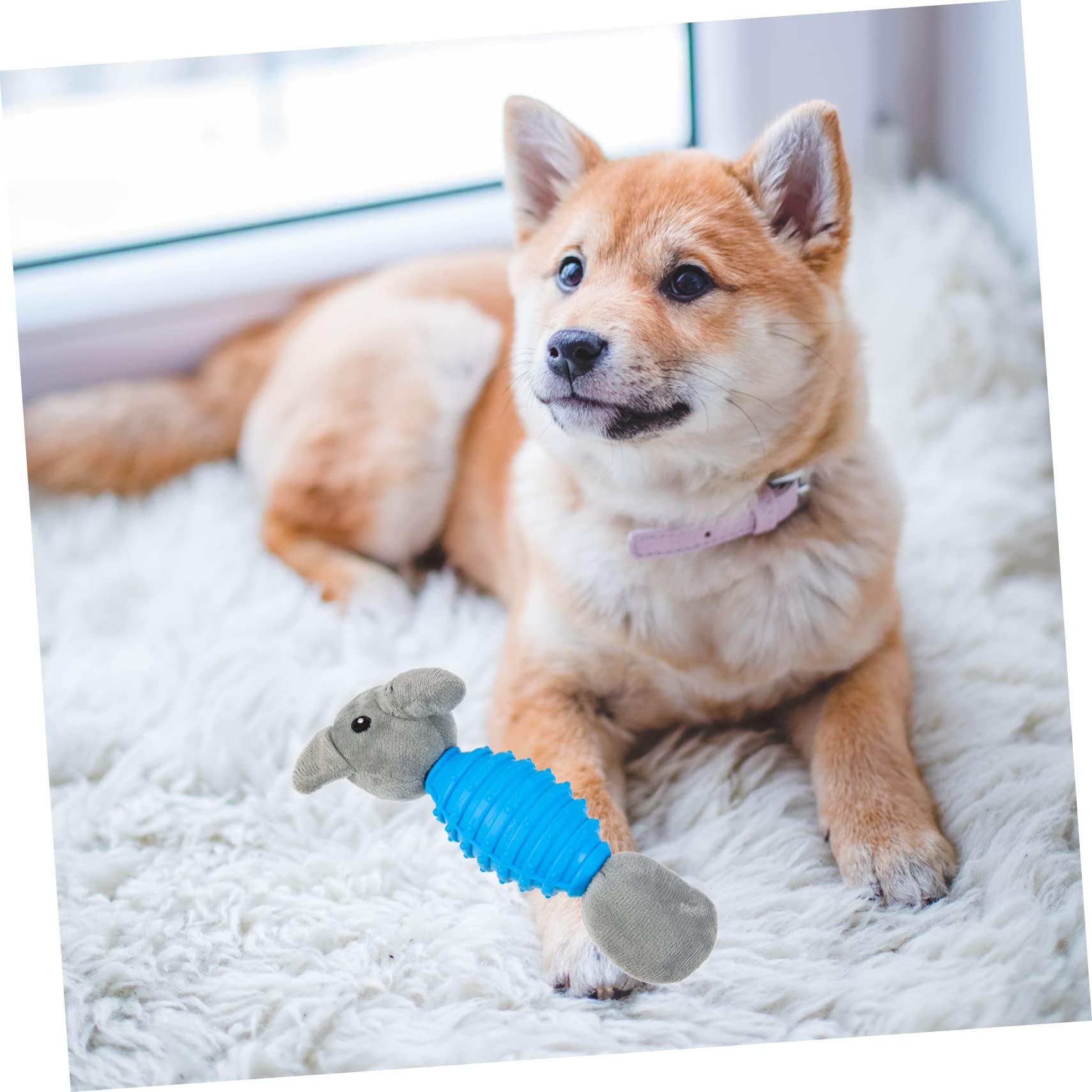 BESPORTBLE 4pezzi Giocattolo Interattivo Per Cani Peluche Elefante Con Squeak Giocattolo Per Cuccioli Masticabile e Resistente Stimola Gioco e Salute