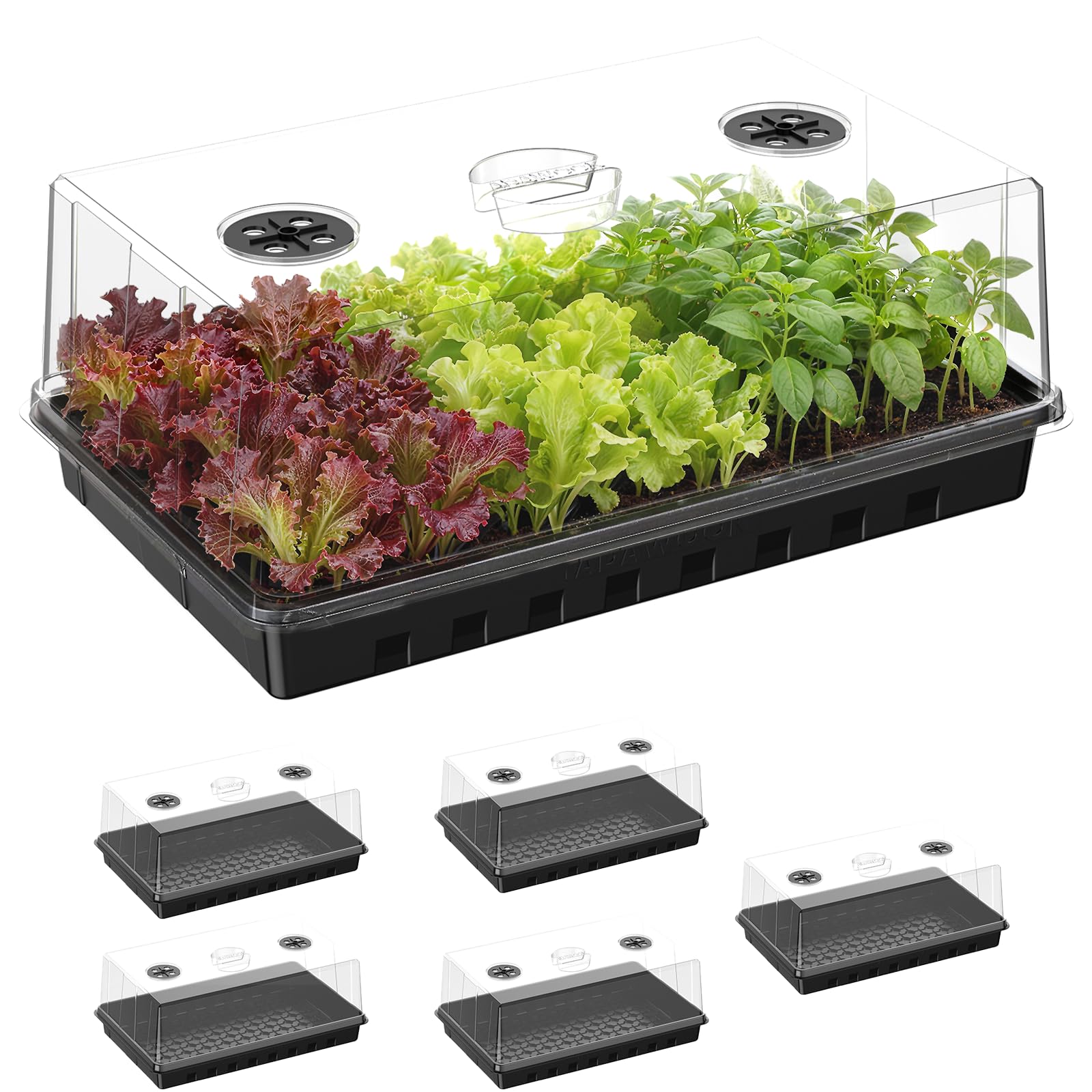 Lot de 6 plateaux de démarrage de semis pour plantes, plateaux de germination avec dômes d'humidité élevée de 12 cm, grand espace de croissance et meilleur flux d'air pour le démarrage des graines