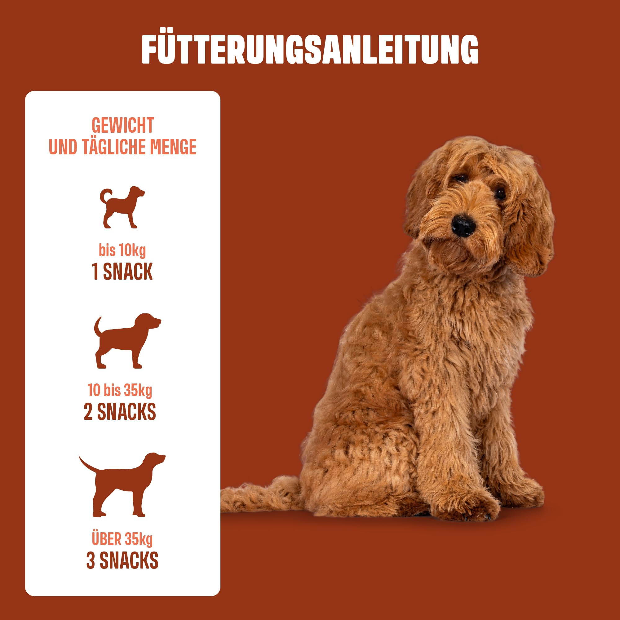 ivvi Anal Gland -Snacks zur Unterstützung der Analdrüsen bei Hunden. Kürbisfleisch Ballaststoffe, Flohsamenschalen, Leinsamen, Löwenzahn, Brennessel & Präbiotika. 60 Verdauung Snacks mit Erdnussbutter